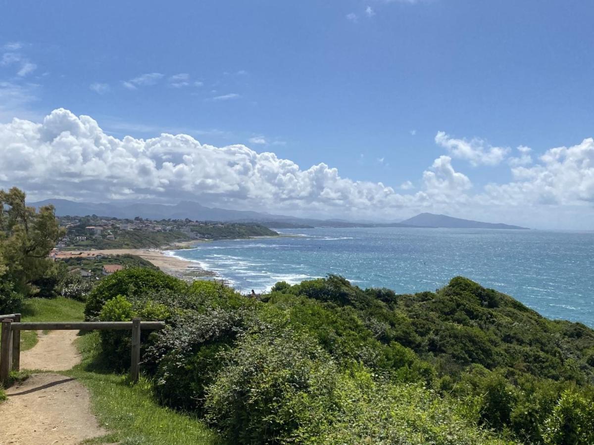 Cote Basque Apartment Bidart Bagian luar foto