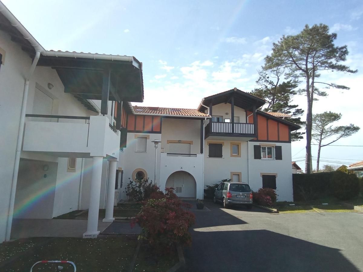 Cote Basque Apartment Bidart Bagian luar foto