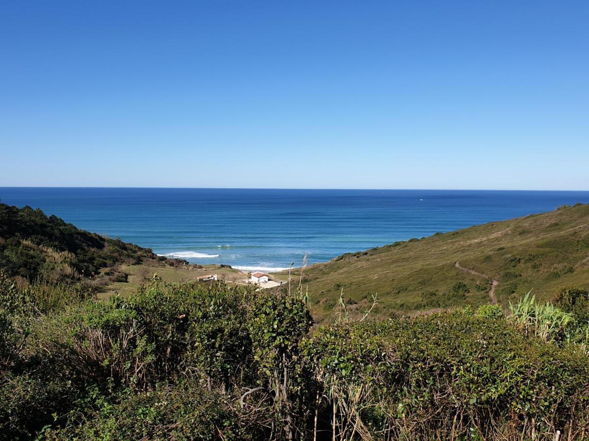Cote Basque Apartment Bidart Bagian luar foto